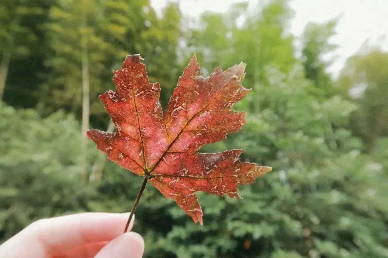 爱游戏app平台