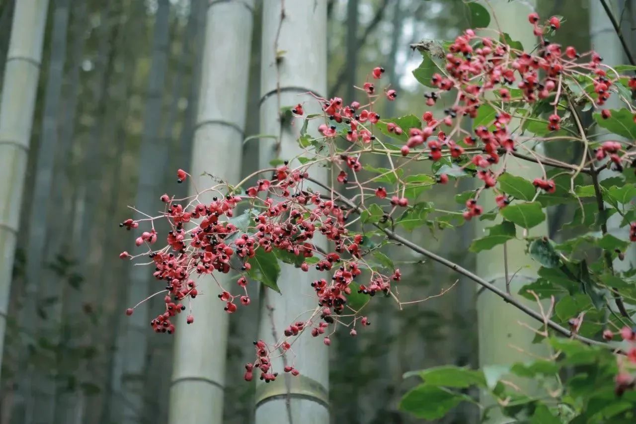 爱游戏app平台