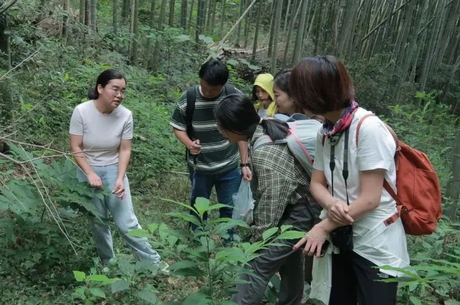 爱游戏app平台