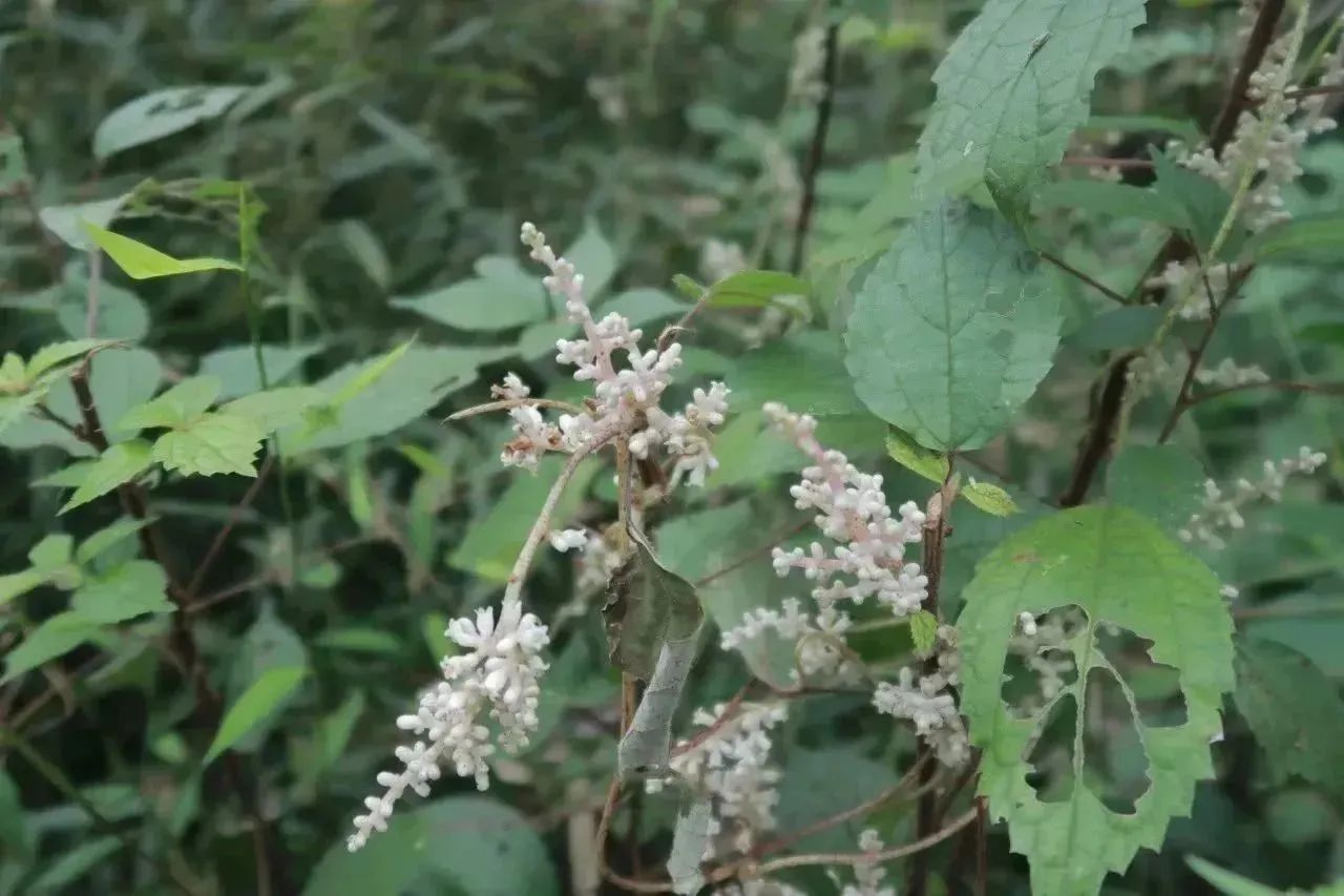 爱游戏app平台