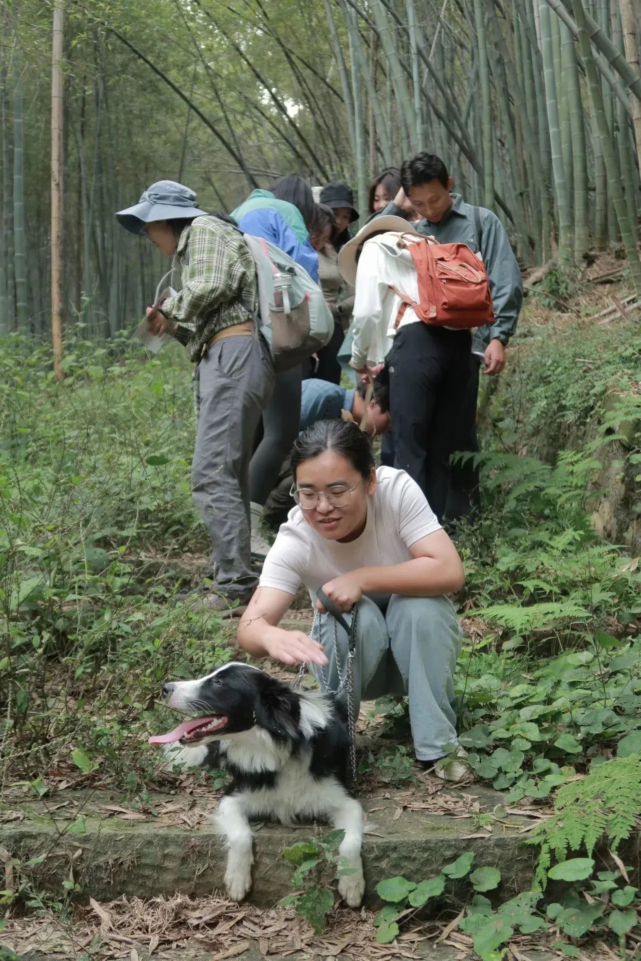 爱游戏app平台