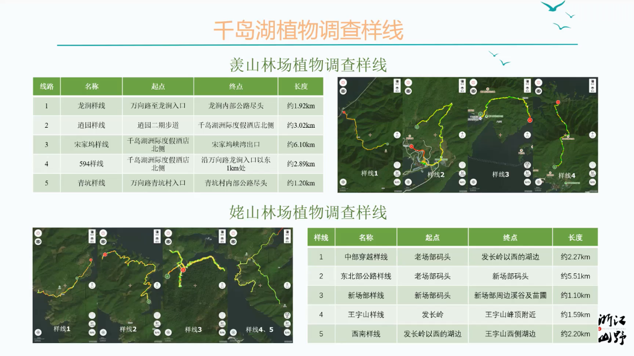 爱游戏app平台